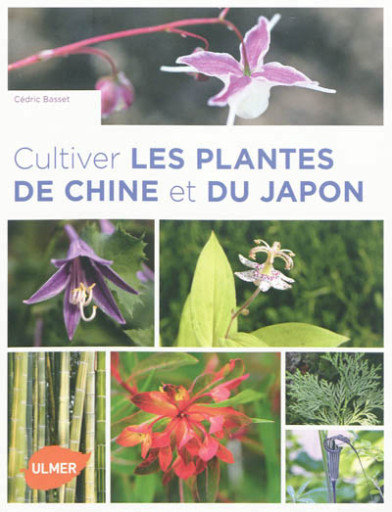 cultiver plantes de chine et du japon