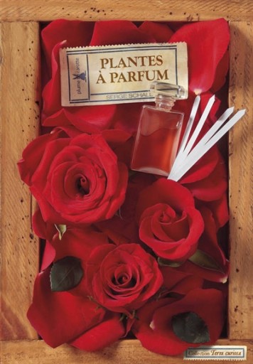 plantes à parfum